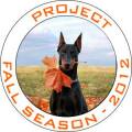 Fall Season Project 2012